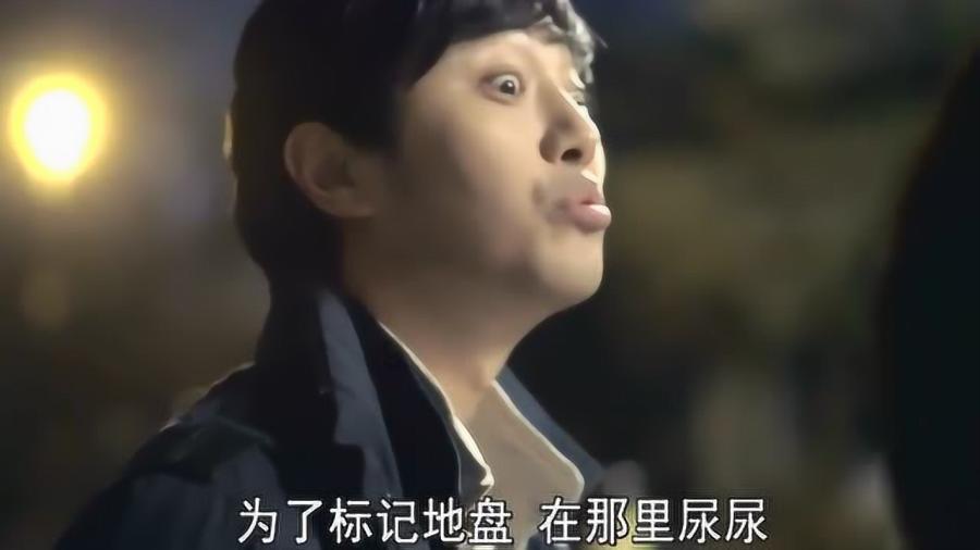 小艾比摄影家